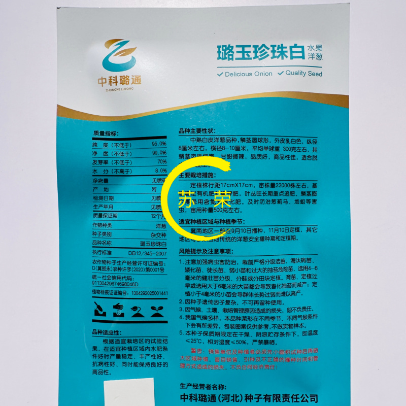 璐玉珍珠白水果洋葱种子中熟白皮洋葱种子甘甜微辣圆葱种子