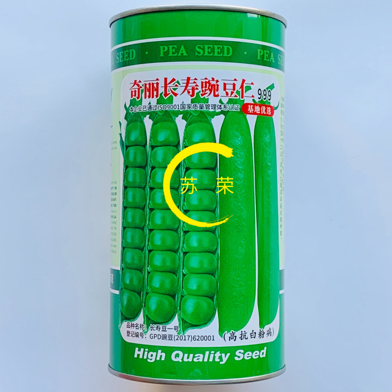 奇丽长寿豌豆仁种子翠绿豌豆种籽台湾引进嫩豆糖度高抗白粉病