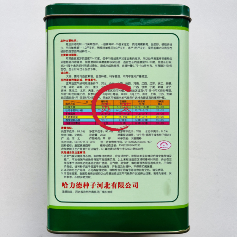 皇冠黄嫩西芹大梗芹菜种子荷兰引进高产旱芹四季播种