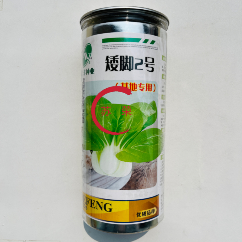 矮脚2号矮脚黄菜种子高产耐热四季播矮脚青菜种矮脚白根