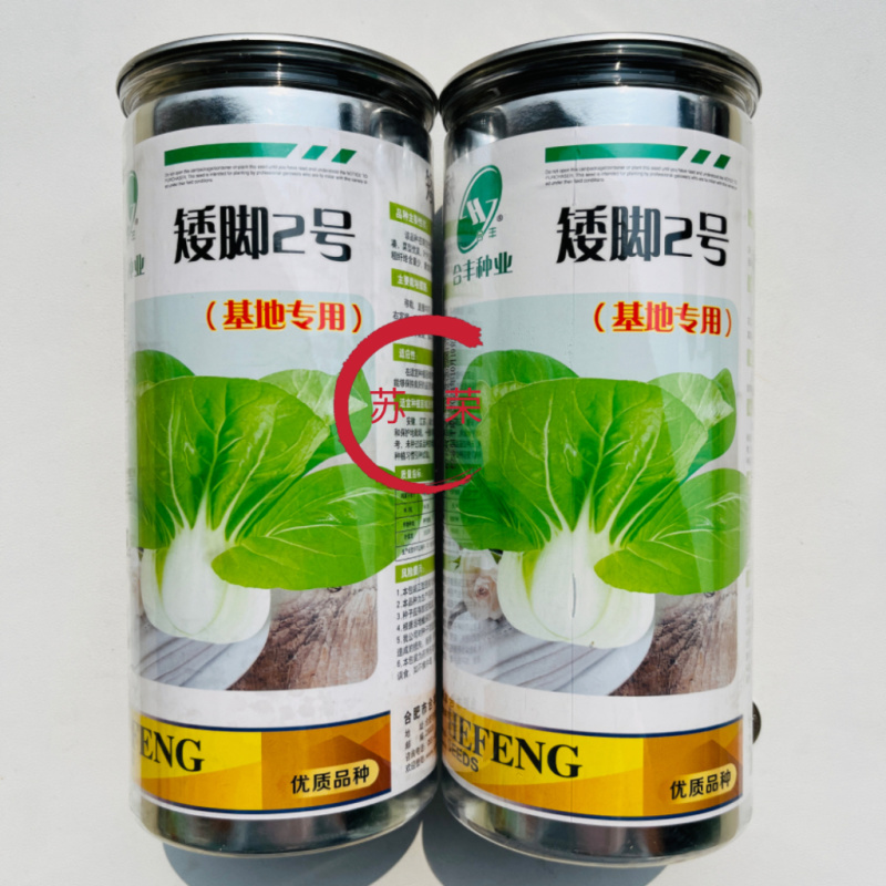 矮脚2号矮脚黄菜种子高产耐热四季播矮脚青菜种矮脚白根