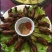 常年大量供应料理肉鹌鹑，烧烤，油炸专用鹌鹑