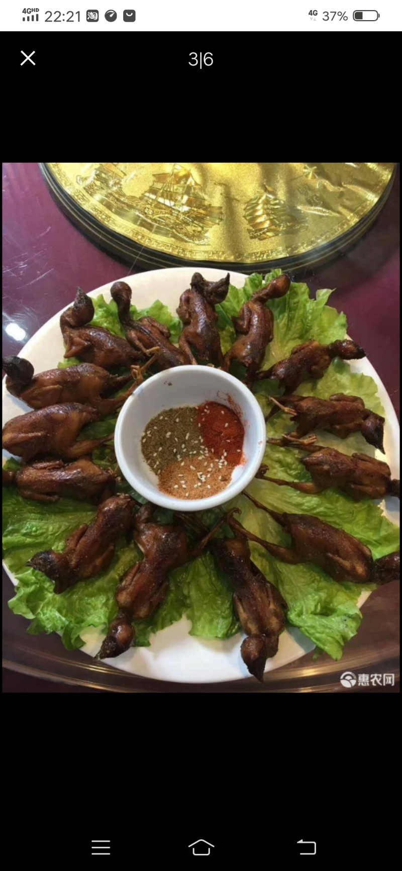 常年大量供应料理肉鹌鹑，烧烤，油炸专用鹌鹑