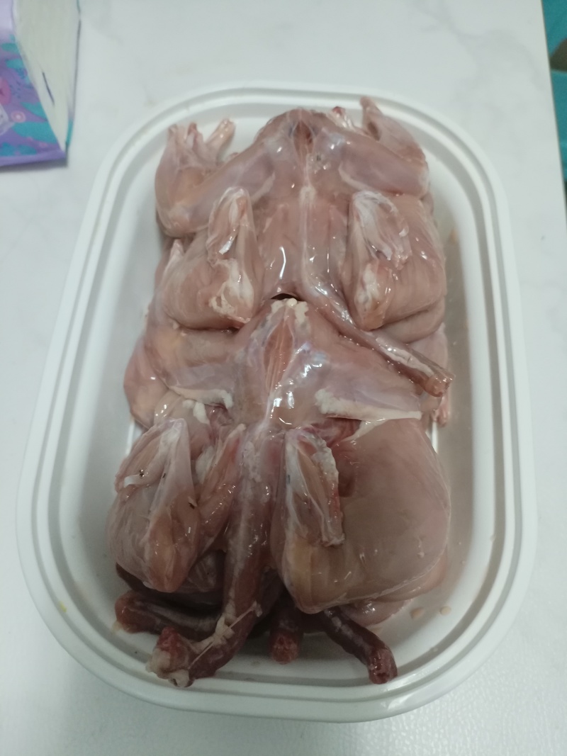 常年大量供应料理肉鹌鹑，烧烤，油炸专用鹌鹑