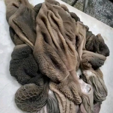 羊肚