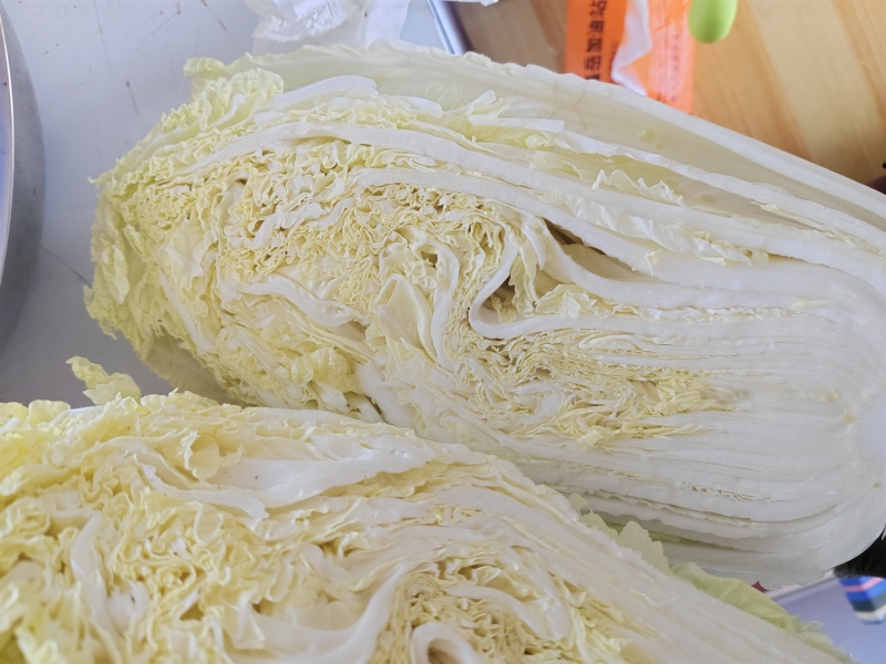 黄心大白菜
