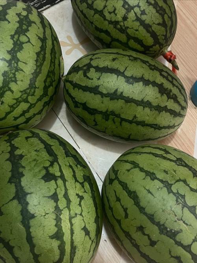 吊碗西瓜