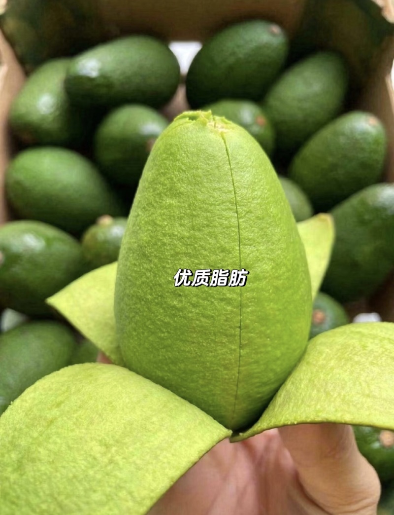 云南树上熟平克顿牛油果，集采，一件代发，对接商超市场电商