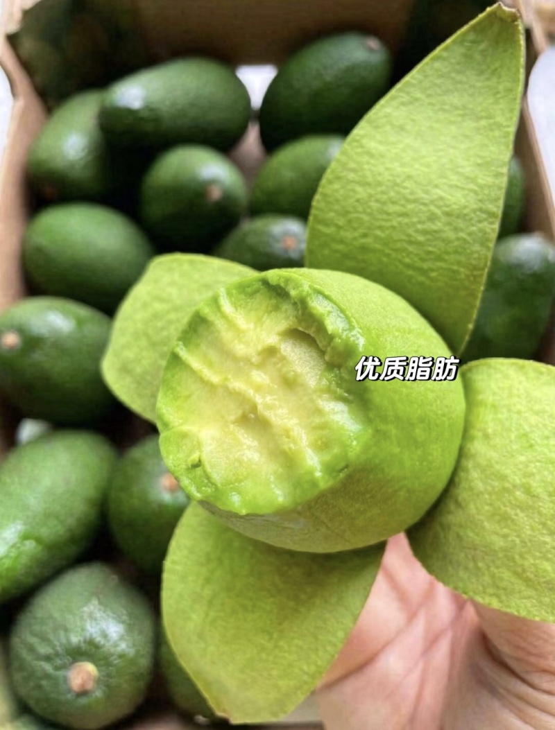 云南树上熟平克顿牛油果，集采，一件代发，对接商超市场电商