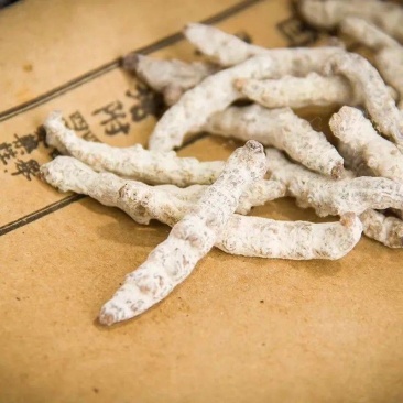 正品白僵蚕僵蚕无硫中药材僵蚕整条僵蚕批发免费磨粉源头货源