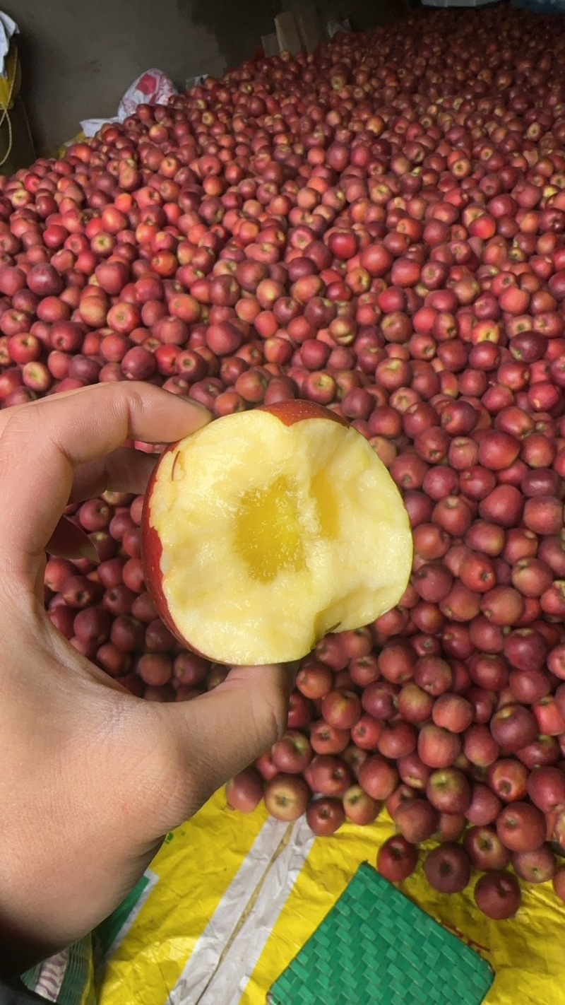大量出红露，华硕苹果，代办，一件代发，帮老板解决后顾之忧