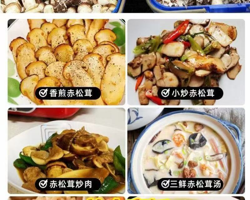 新鲜赤松茸姬松茸蘑菇**食用菌大球盖菇煲汤火锅食材