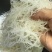 龙须菜鹿角菜凉拌菜当季新货，厂家批发