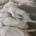 广东清远黑棕鹅，新鲜现杀，各种规格。