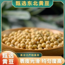 包邮）10斤黄豆黑龙江非转基因高蛋白生豆芽打豆浆豆批发