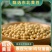 包邮）10斤黄豆黑龙江非转基因高蛋白生豆芽打豆浆豆批发
