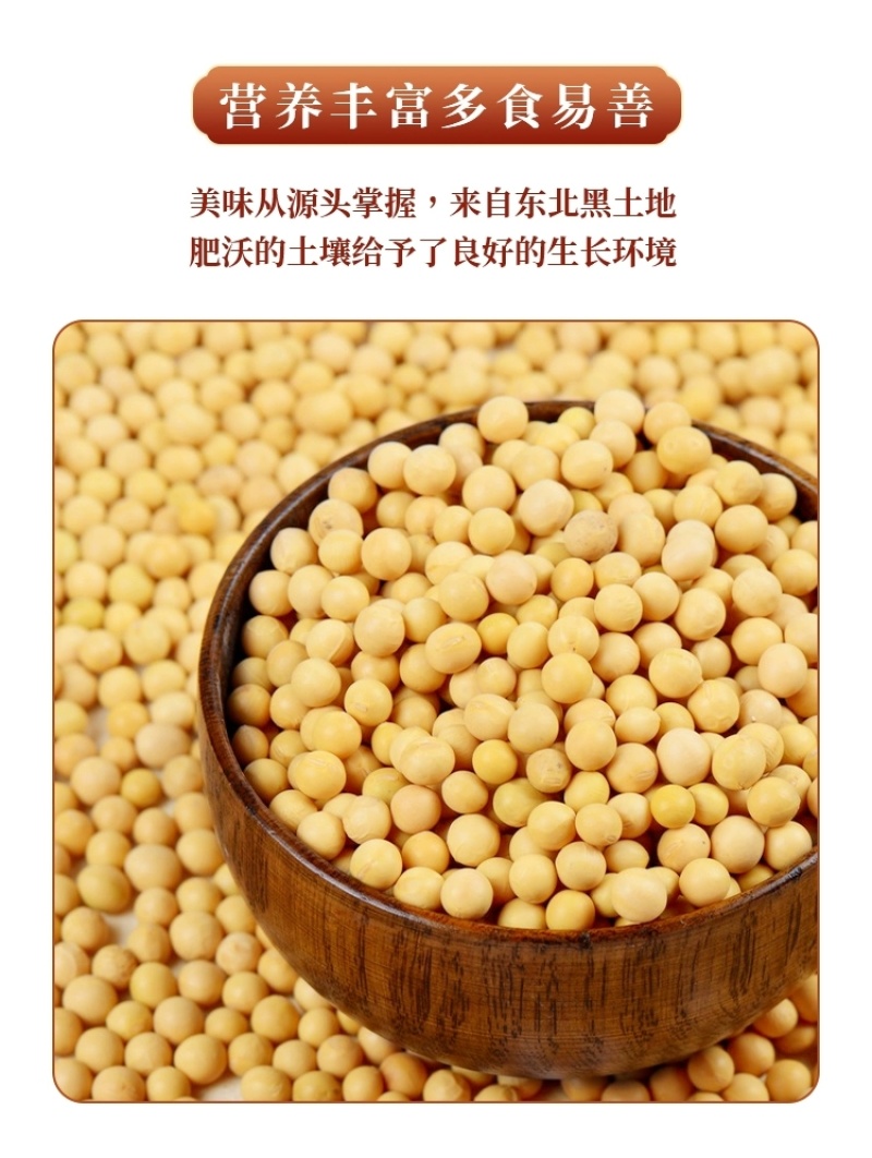 包邮）10斤黄豆黑龙江非转基因高蛋白生豆芽打豆浆豆批发