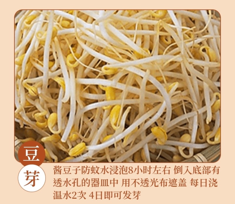 包邮）10斤黄豆黑龙江非转基因高蛋白生豆芽打豆浆豆批发