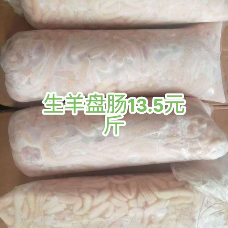 生羊盘肠