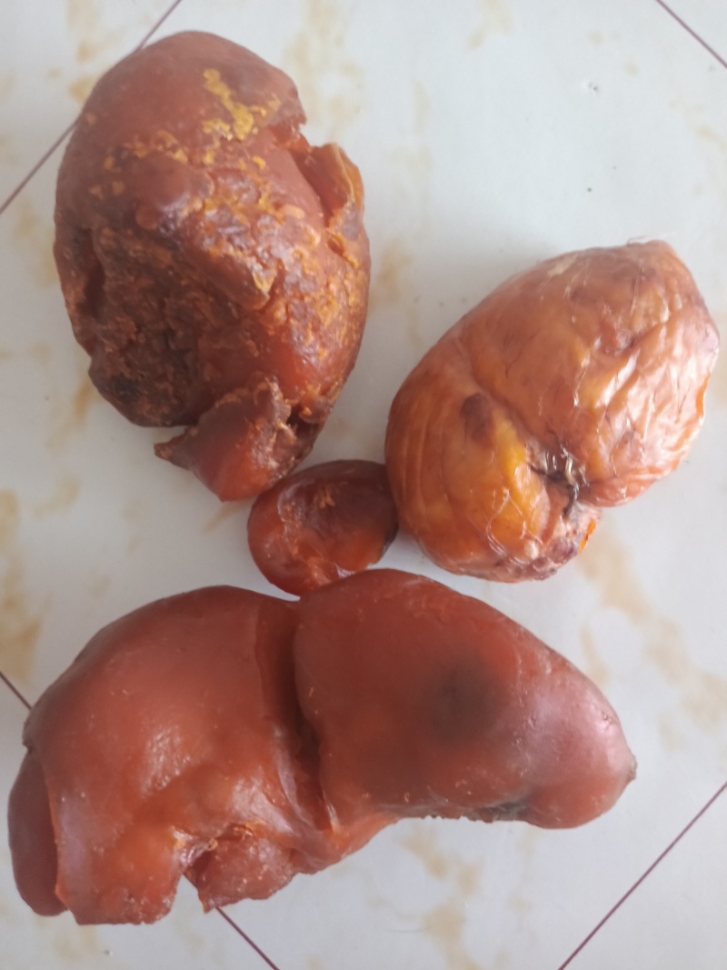 鸡宝