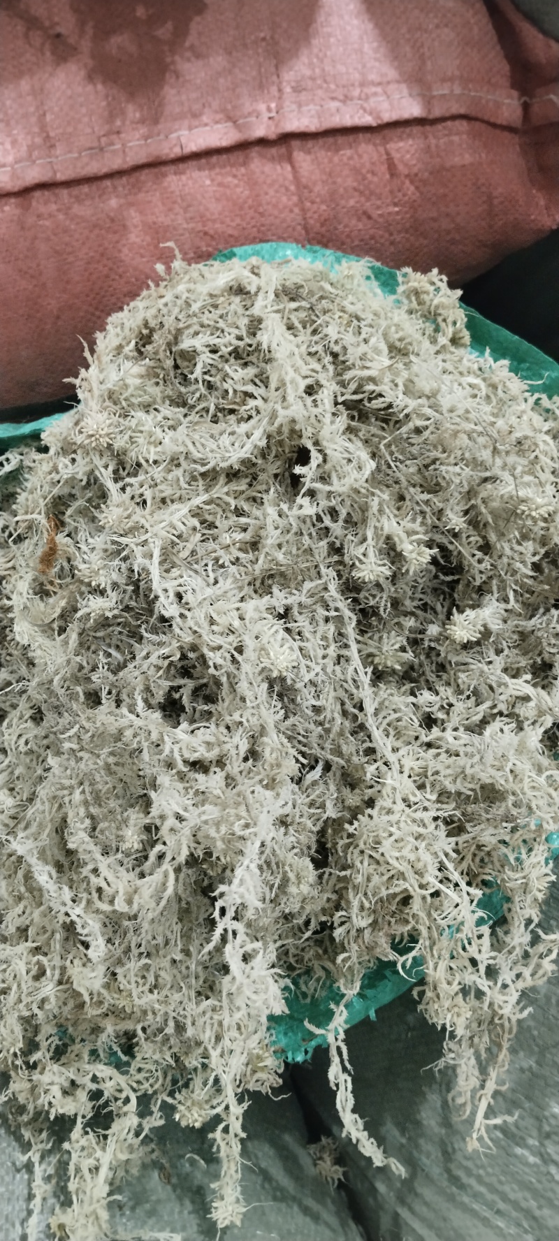 海花草