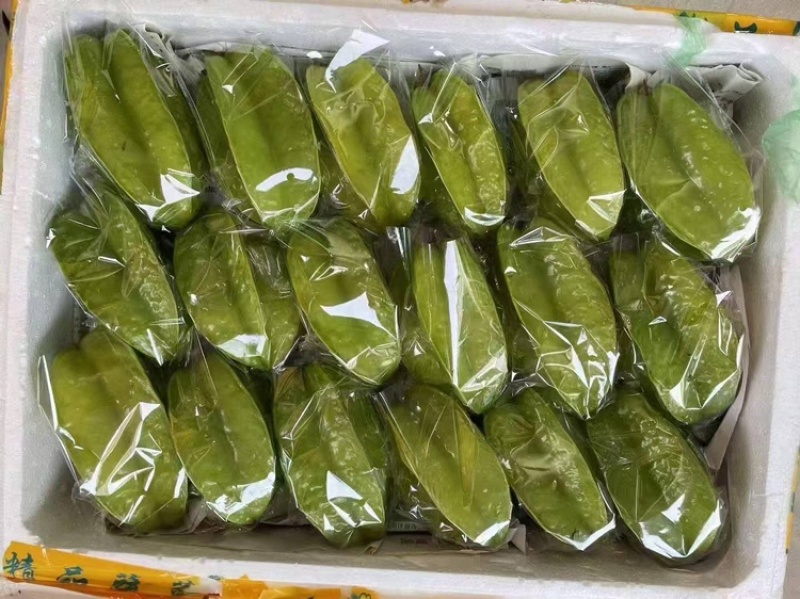 杨桃品质保证服务周到大量现货价格便宜欢迎联系