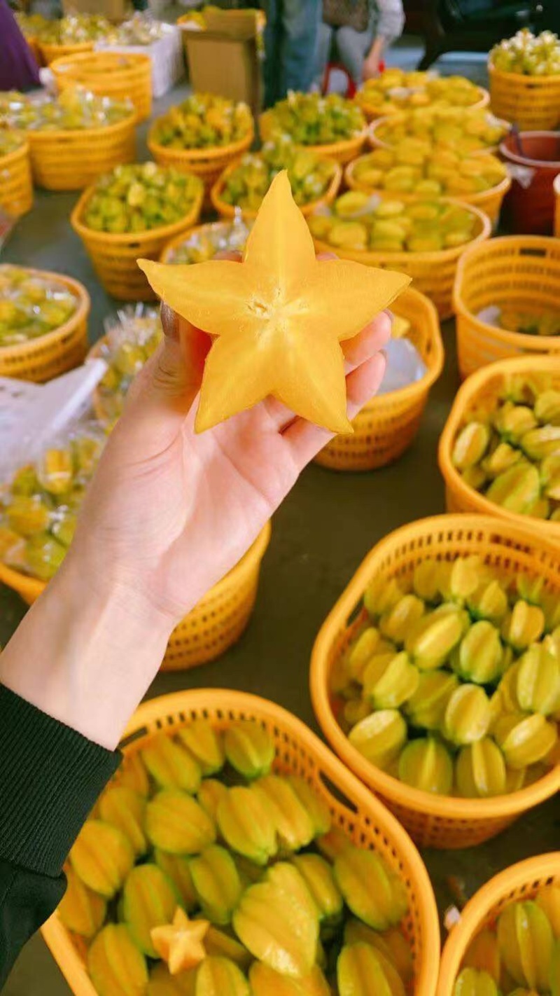 杨桃品质保证服务周到大量现货价格便宜欢迎联系