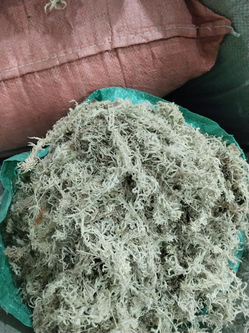 海花草