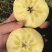 昭通苹果基地种植货源充足保质保量欢迎随时联系