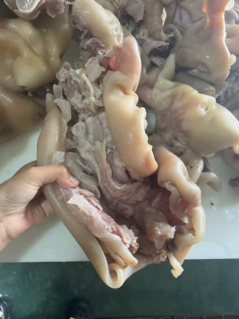 去骨熟牛蹄全部带大主筋，可切小块定做各种规格。