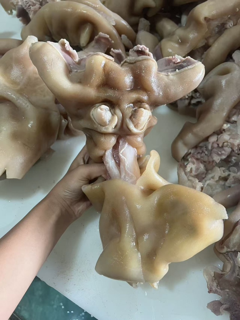 去骨熟牛蹄全部带大主筋，可切小块定做各种规格。