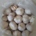 山东金乡精品紫皮大蒜