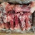 多肉棒骨，多肉骨头，带肉后棒骨，带肉猪后棒20斤纯国产