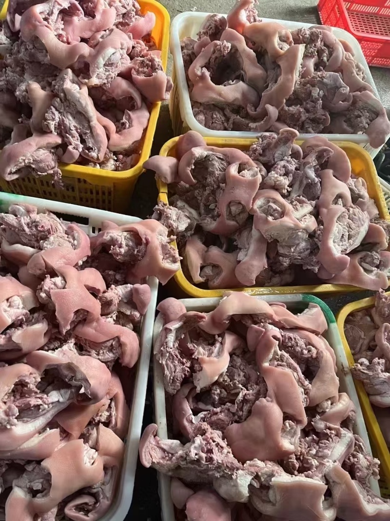 7-8成熟熟圈肉20斤熟猪头肉，猪脸肉，带核桃肉7-8成