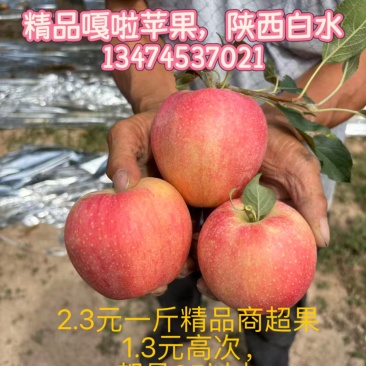 精品嘎啦，高次嘎啦，都有，家里的需要的话联系，