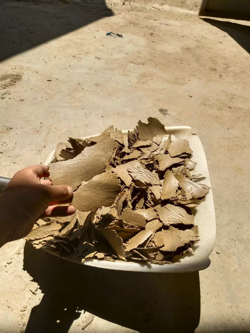 黄豆饼厂家直发，保质保量，可视频看货，诚信经营
