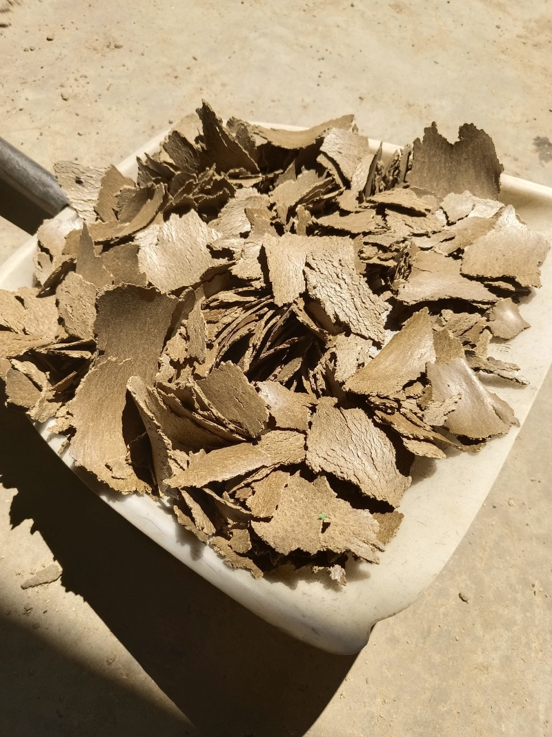 黄豆饼
