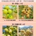 潮汕丙甜油甘甜种油甘奶茶店连锁榨汁店**