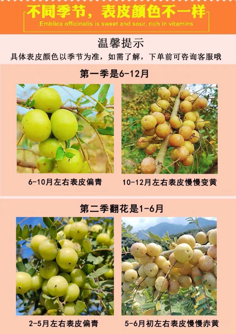 潮汕丙甜油甘甜种油甘奶茶店连锁榨汁店**