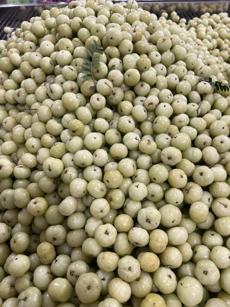 潮汕丙甜油甘甜种油甘奶茶店连锁榨汁店**