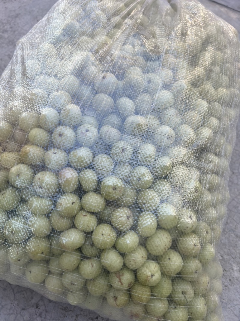 潮汕丙甜油甘甜种油甘奶茶店连锁榨汁店**