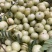 潮汕丙甜油甘甜种油甘奶茶店连锁榨汁店**