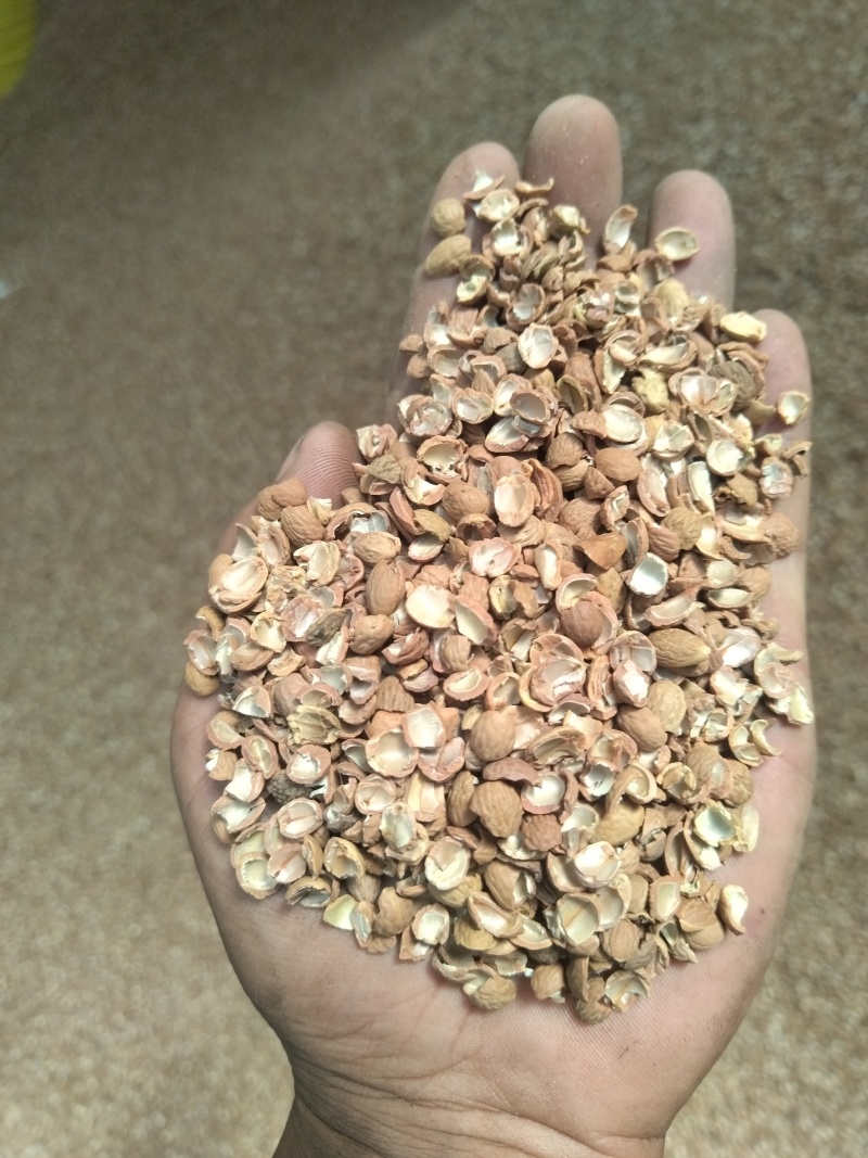 大量出售酸枣壳