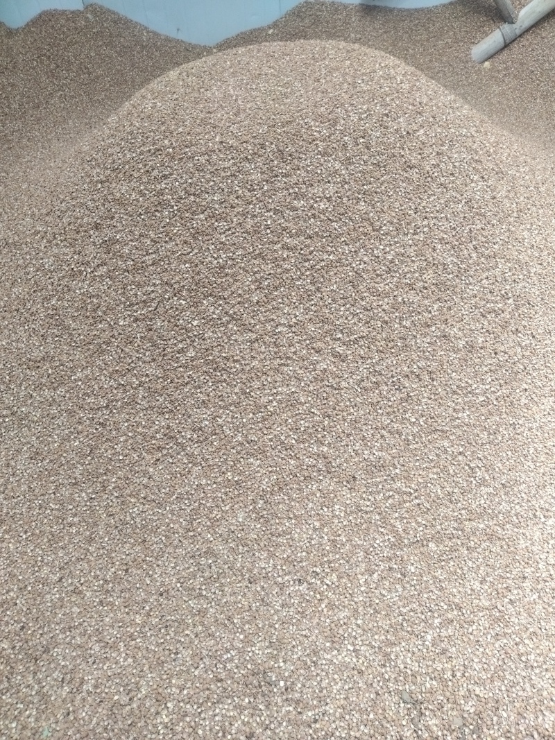 大量出售酸枣壳