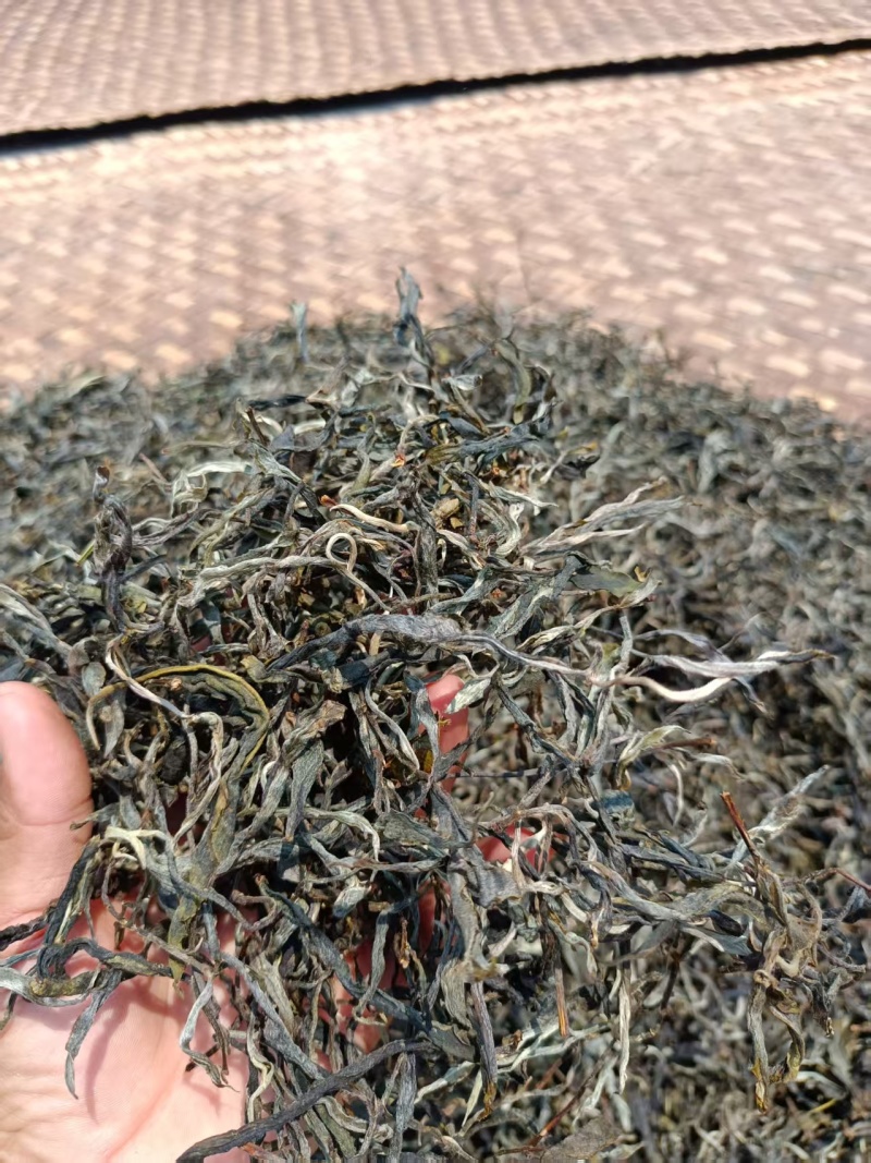 普洱茶