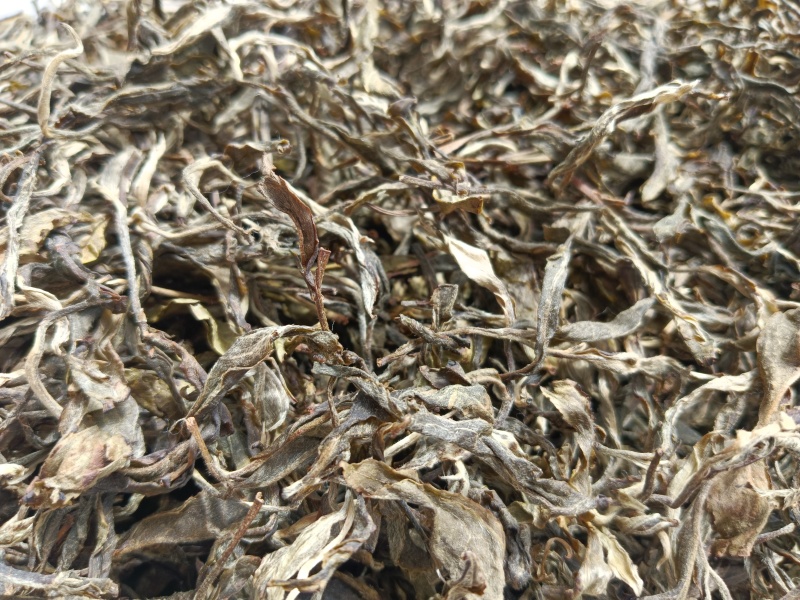 普洱茶