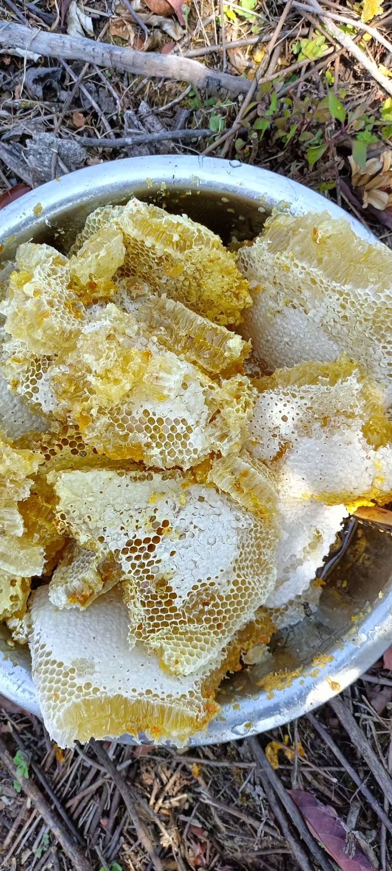野生蜂蜜