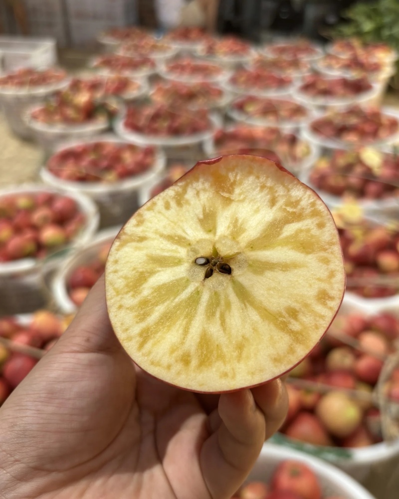 红露苹果云南苹果产地一手货源，规格齐全，视频看货发全国