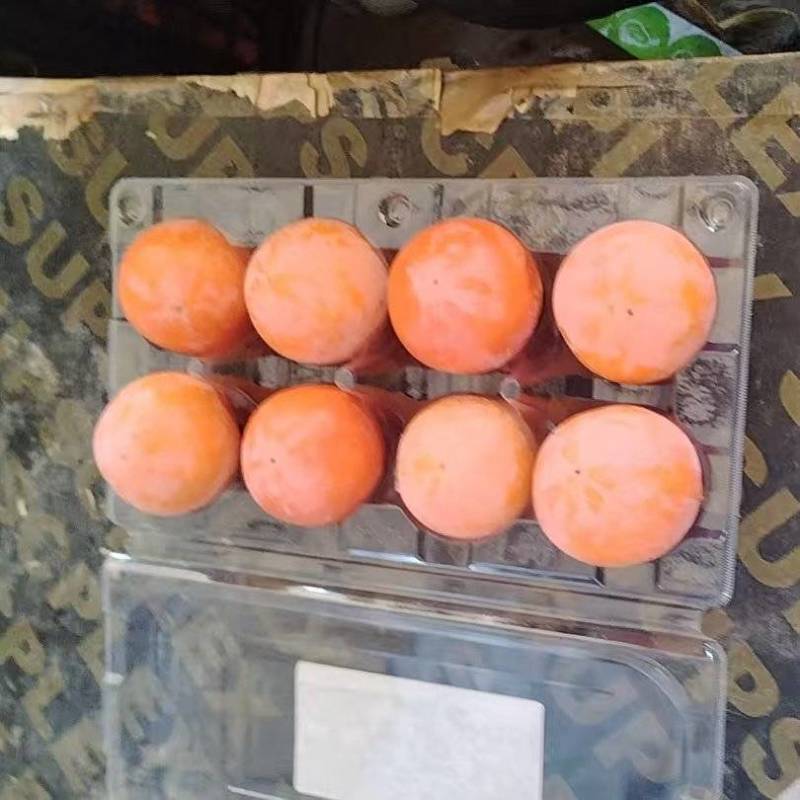 《热卖推荐》陕西火葫芦！七月黄！火晶柿子！吊红柿子大量上市中