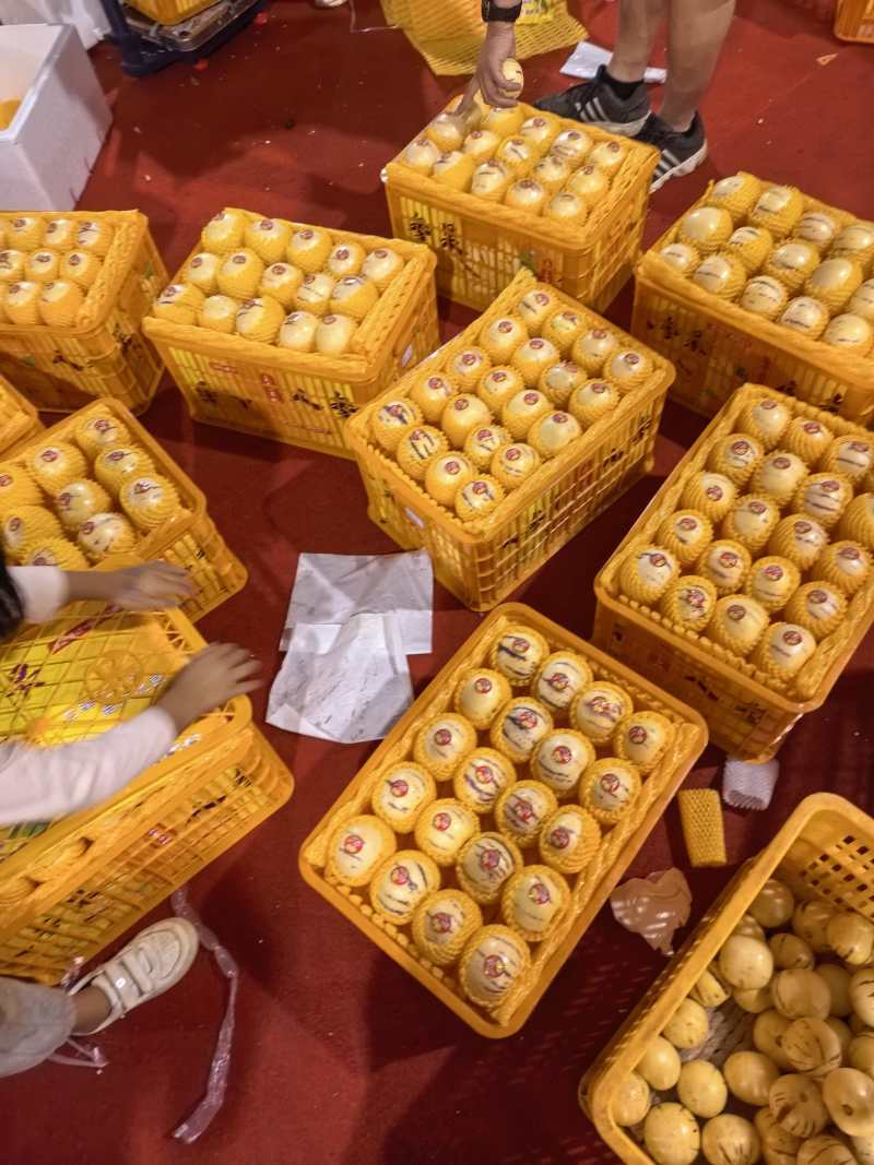 人参果自然成熟，对接市场，社区团购，商超